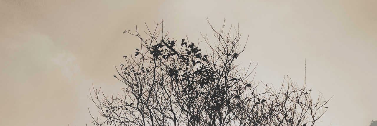 ctrlchanyeol's profile banner image