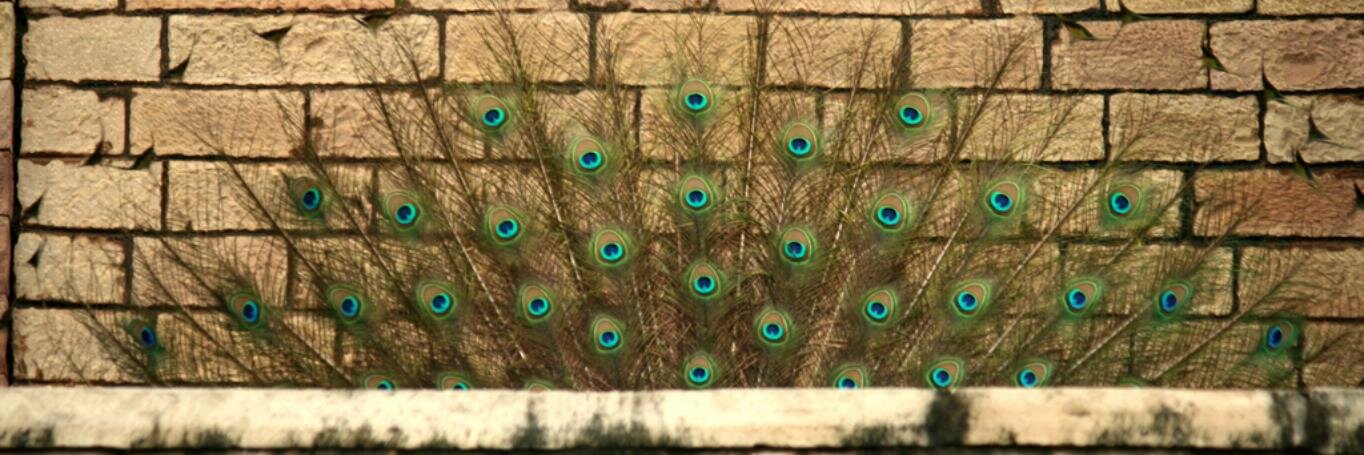 familiarquark's profile banner image