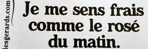 Gwendoline Chapelain banner