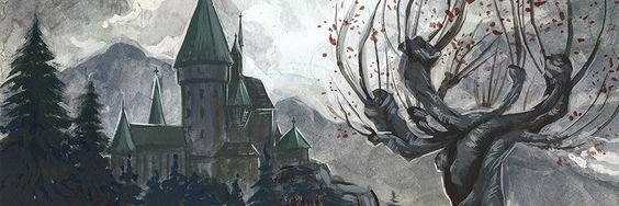 silecinaj's profile banner image