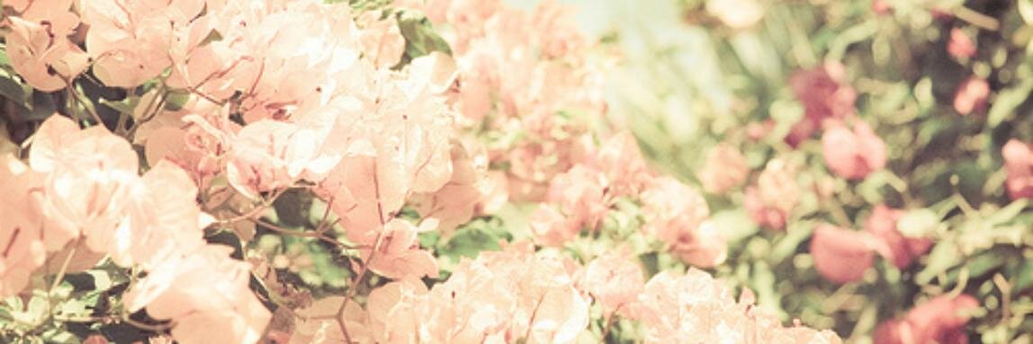 irisvdhurk_'s profile banner image