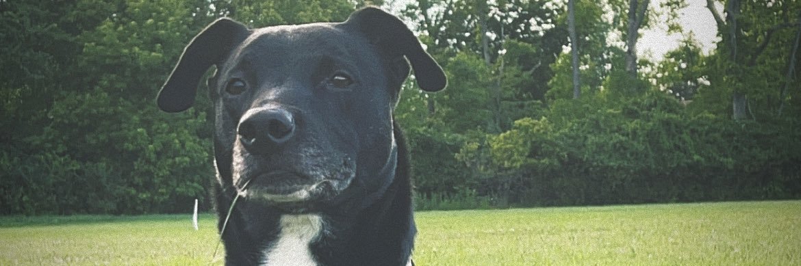 jonathon elliott banner