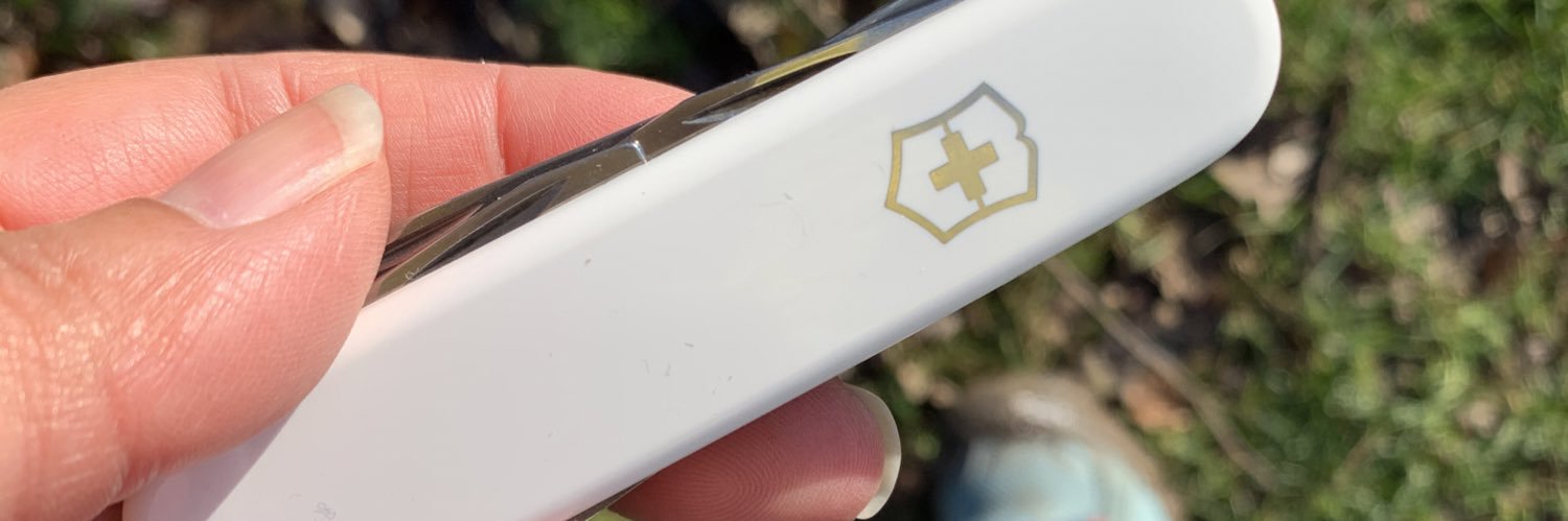 Ursula -Take 2 🎬 banner