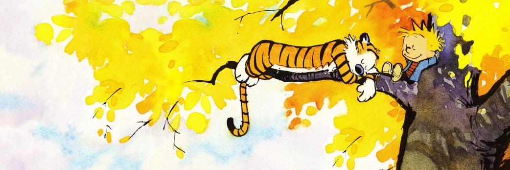 Philip Bronzwaer banner