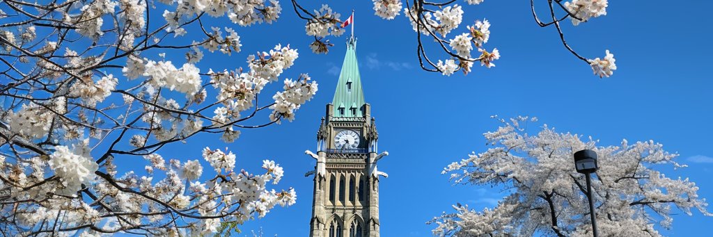 Good News from Ottawa banner