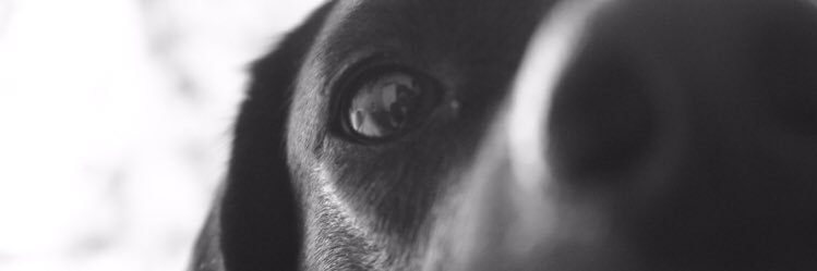 ezgiadanc's profile banner image