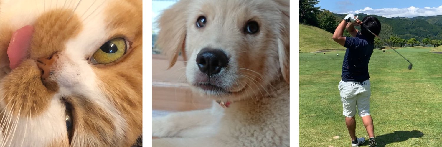 よーらいとまりもとまる。 banner