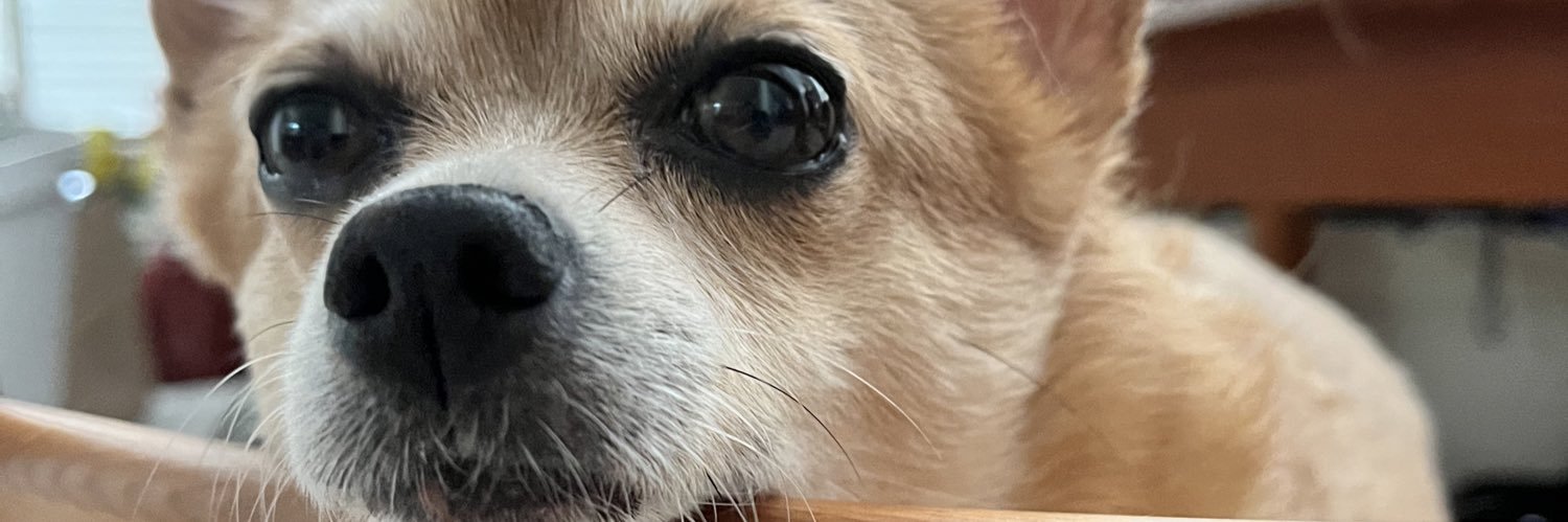 ContraBT's profile banner image