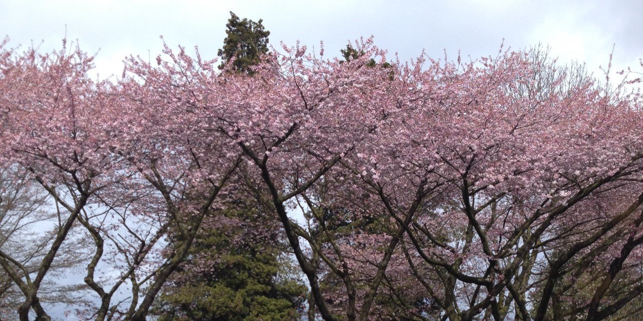 tmil_'s profile banner image