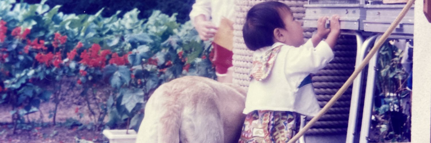 No2Tommy's profile banner image