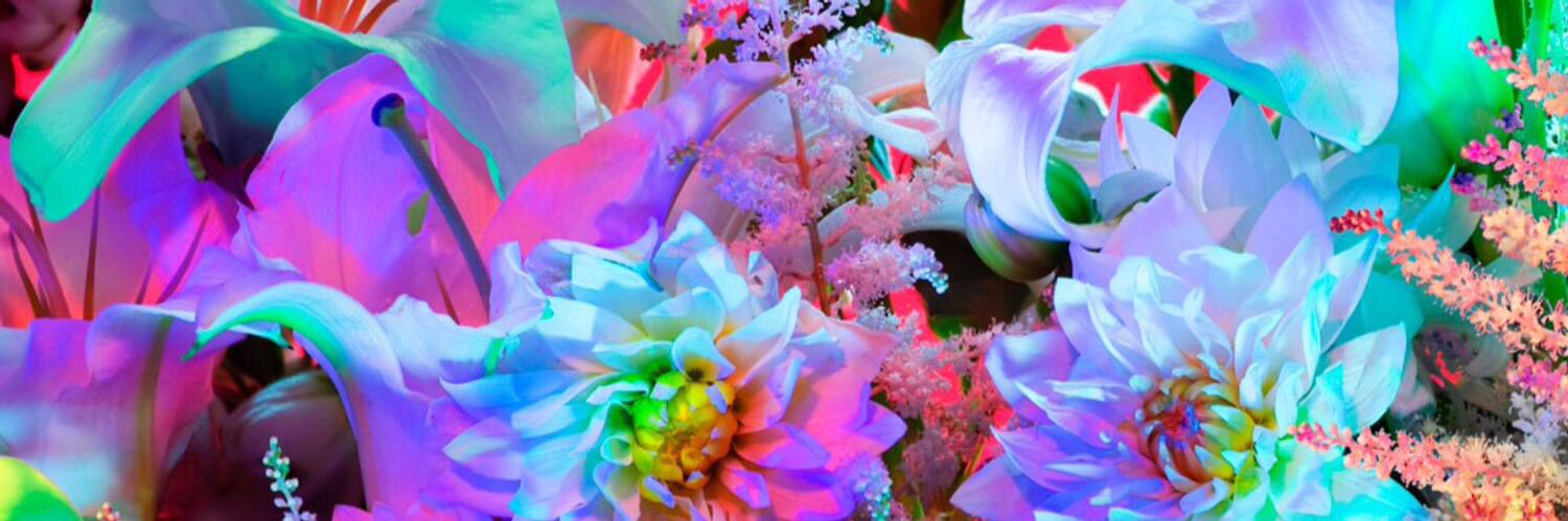 nancypants🌶✨ banner
