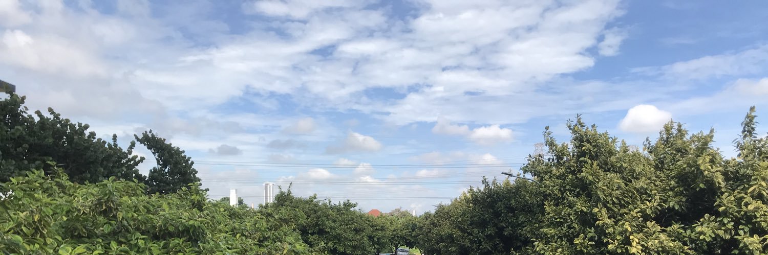 thomasjuliarmy's profile banner image