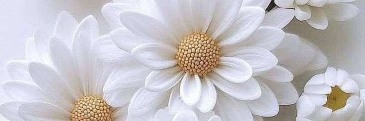 Vale🇪🇸🇪🇺 banner