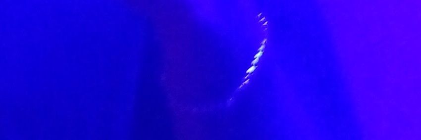 M A N U  pilero banner