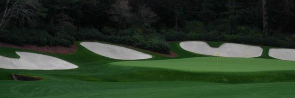 mleggturf Profile Banner