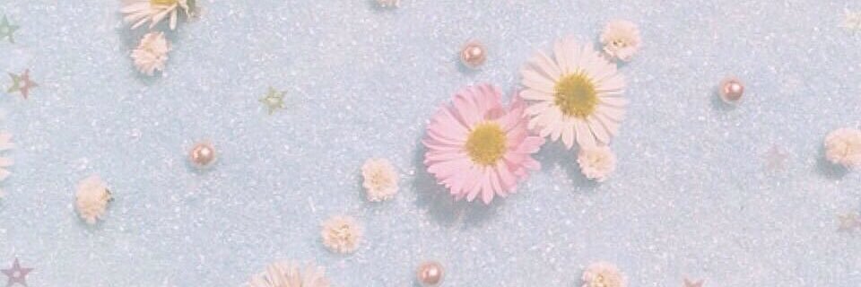 pompomgm's profile banner image