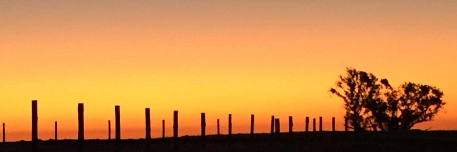 0258Delaware's profile banner image