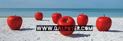 Galerie Poyer banner