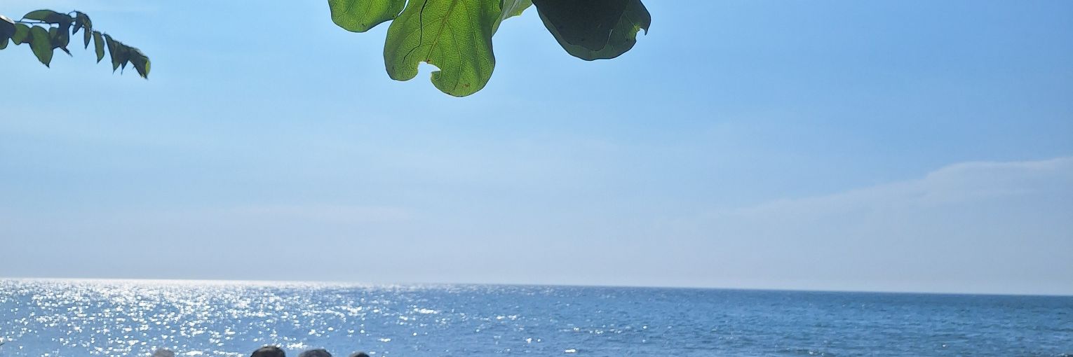 edu_thm's profile banner image