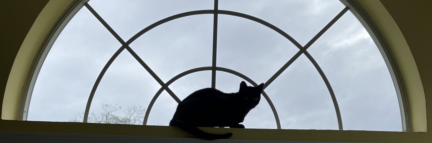 vrloebziss's profile banner image