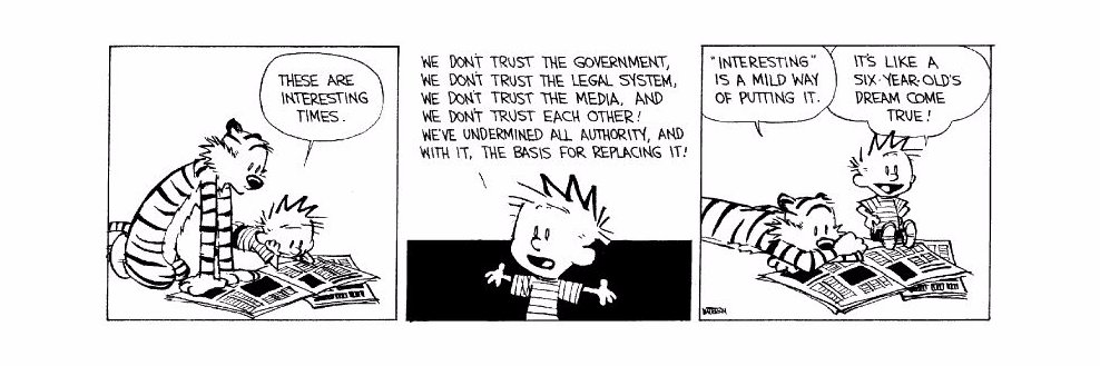 Tim Rutter 🏴󠁧󠁢󠁷󠁬󠁳󠁿 🌼 banner