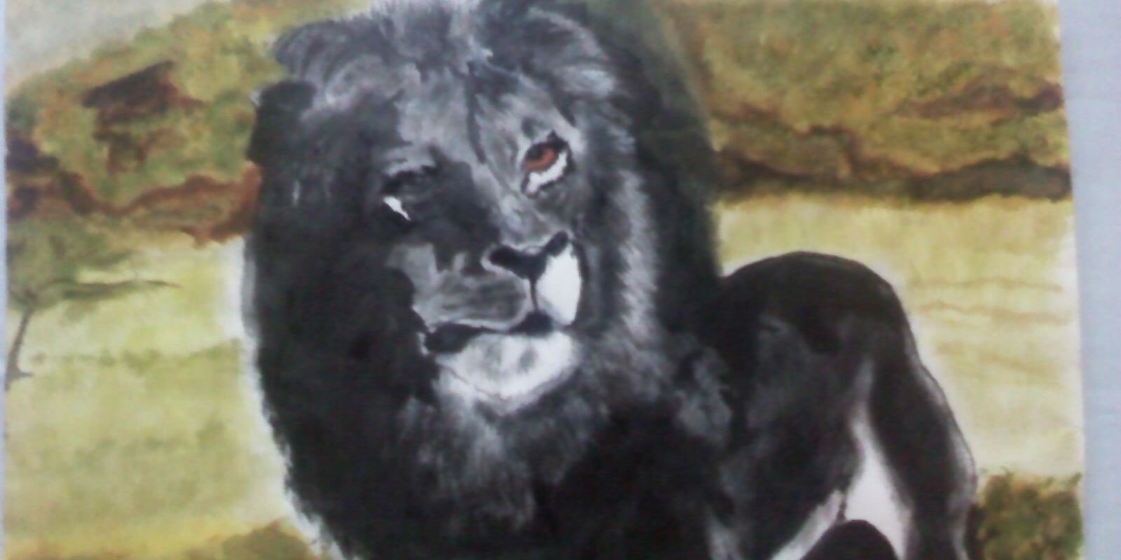 cheikhfsc's profile banner image