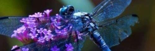 iangray71's profile banner image