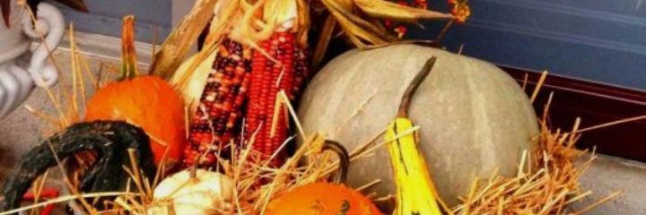 StephanieAlesiOuellette banner