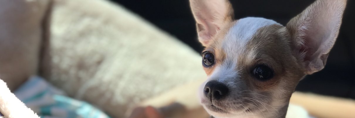 mmmoura_'s profile banner image