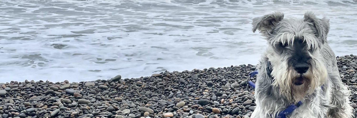 MacaRodriguezM's profile banner image