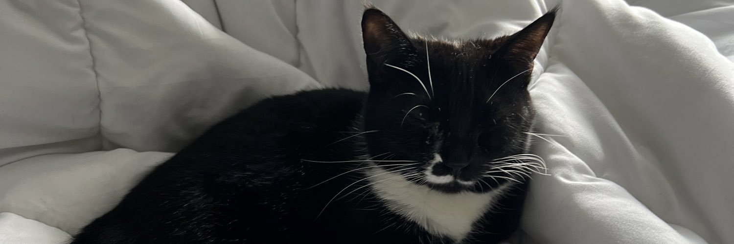 InguttiHannah's profile banner image