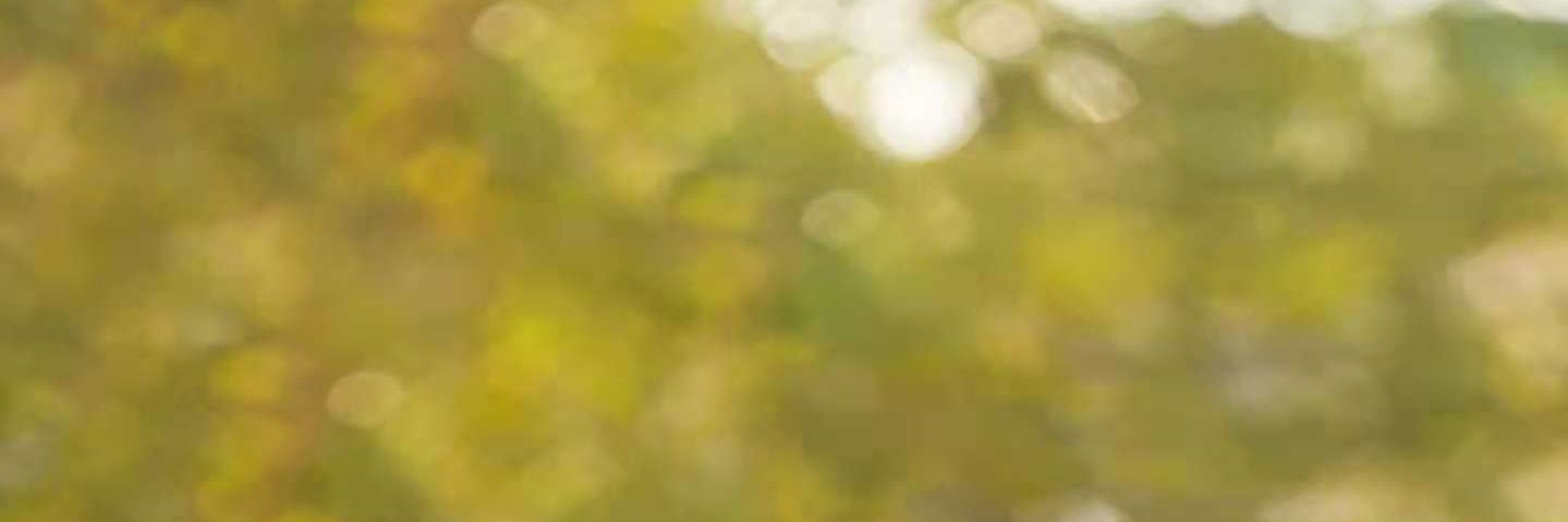 CitizenAnnaP's profile banner image