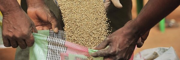 Sakile Kudita banner