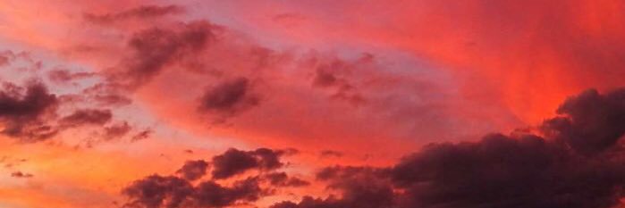 eilidh_blane's profile banner image