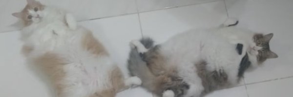 ar_ruzzi Profile Banner