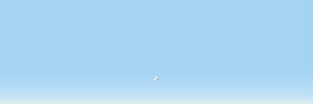 MMCSVT125's profile banner image