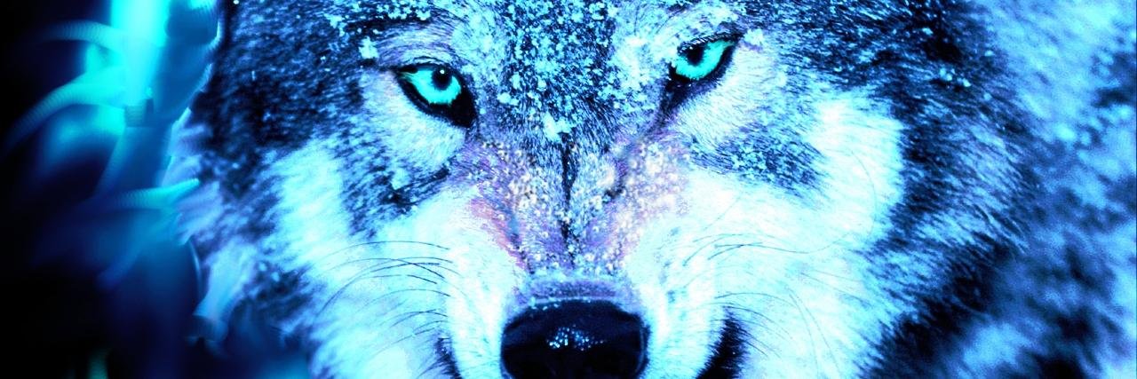 lucifericwolf's profile banner image