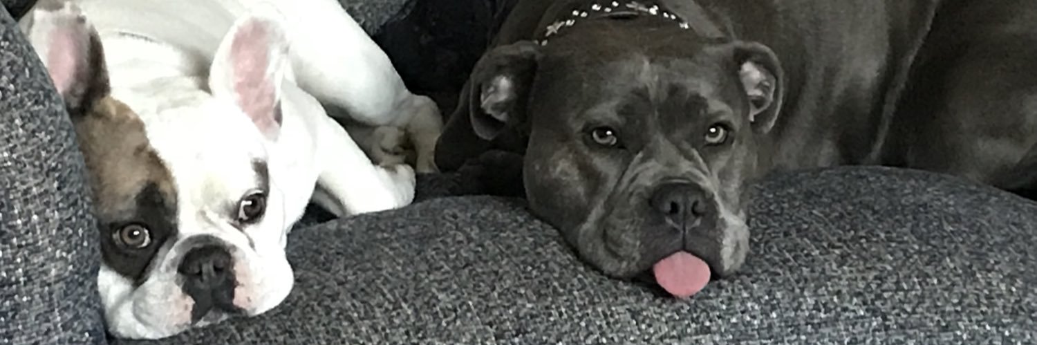 Gremily82's profile banner image