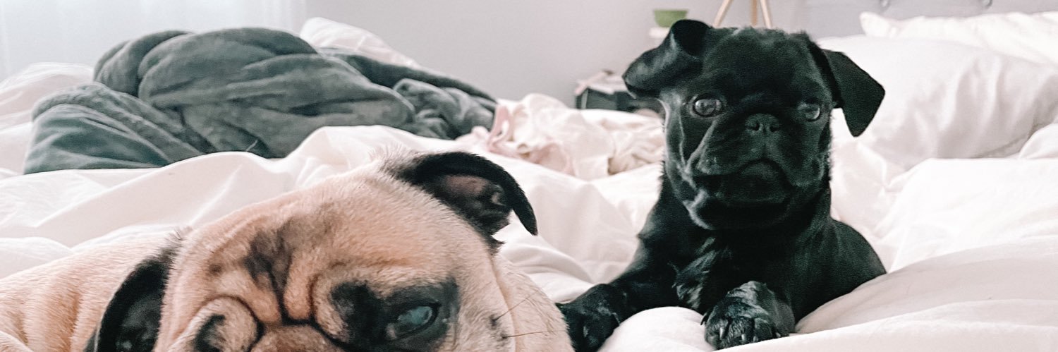 puggygirl13 🫶🏻 banner