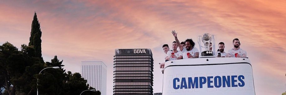 🦊 banner