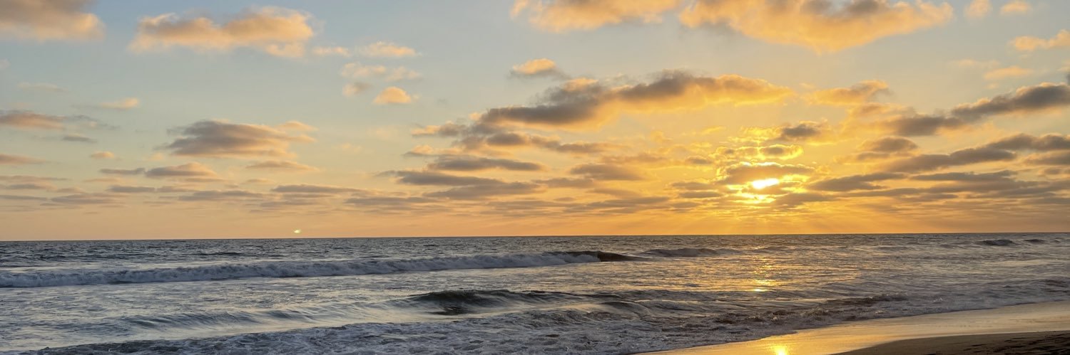 pauparom's profile banner image