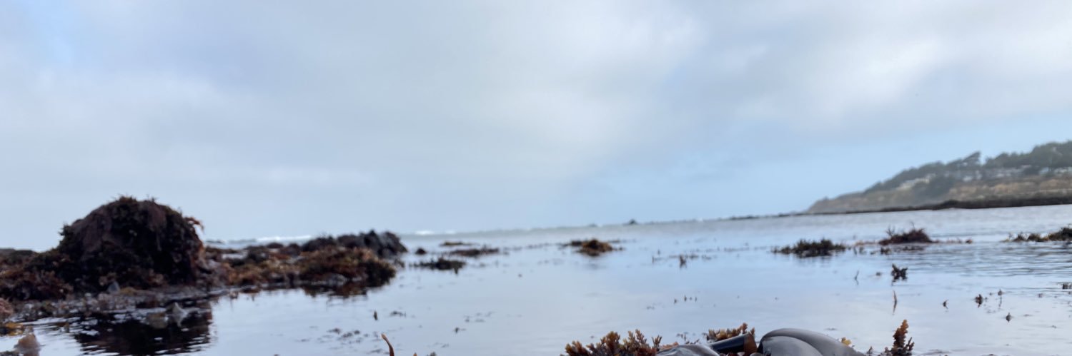 grcxreed's profile banner image