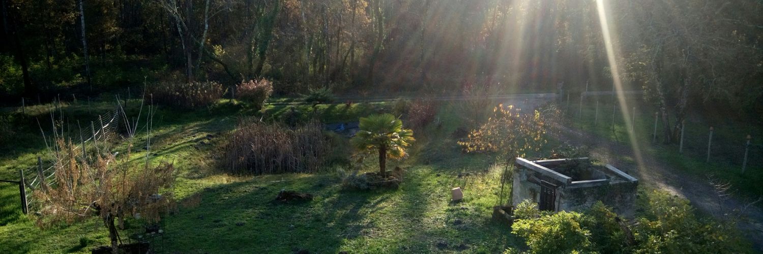 Florentin_33's profile banner image