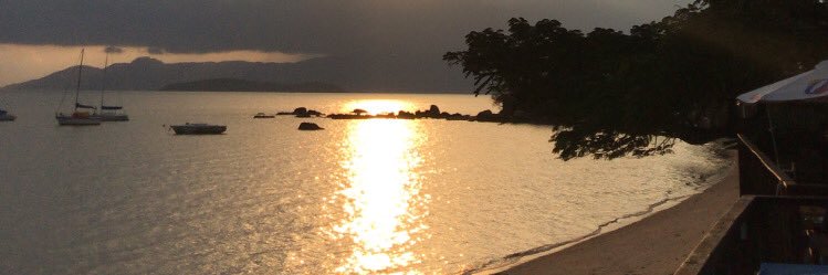 Thiagx's profile banner image