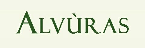 DaveSpanuMua's profile banner image