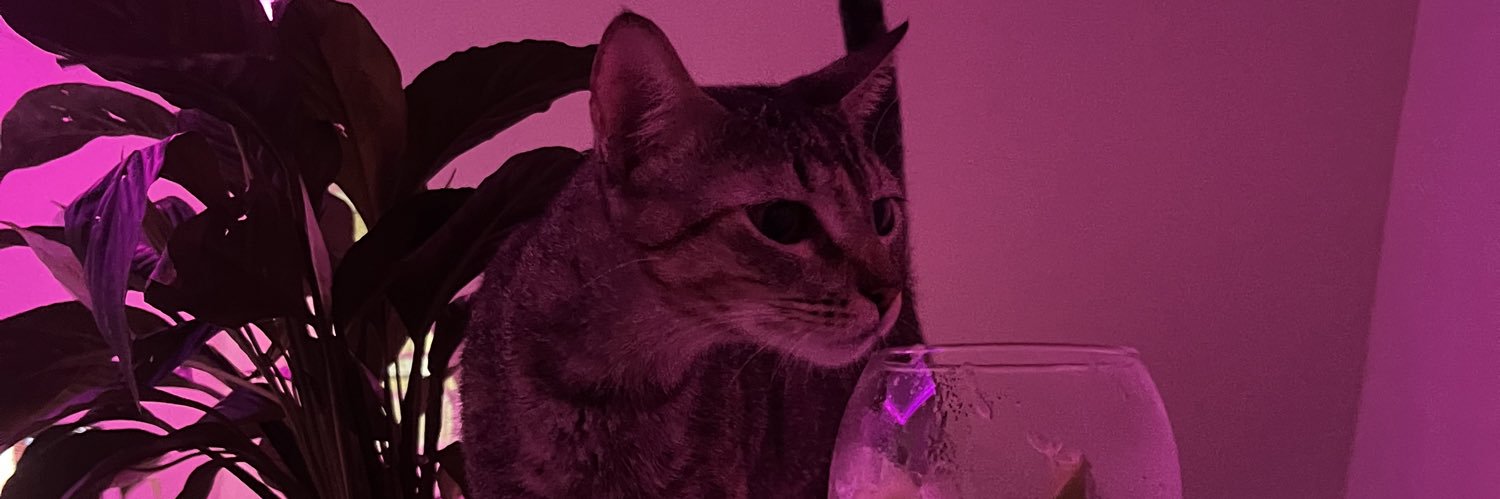 luizfners's profile banner image