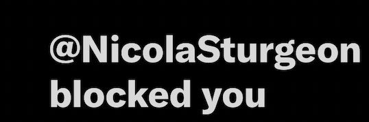 Adam McIntosh banner