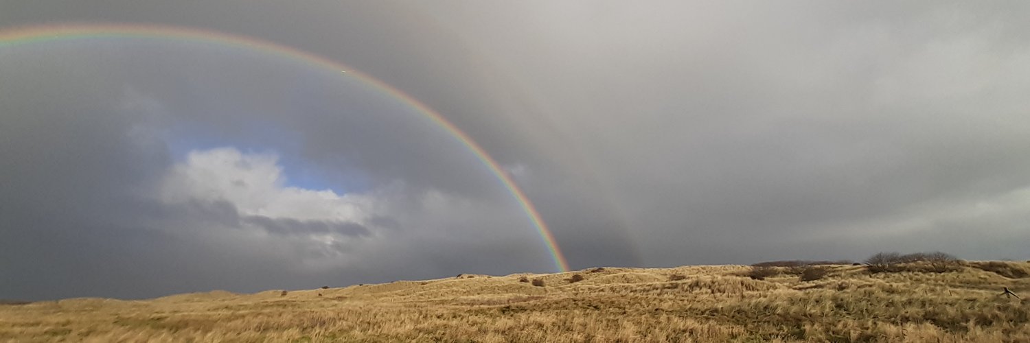 Arielle Juler banner