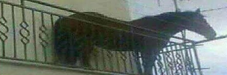 Hardline_1909's profile banner image