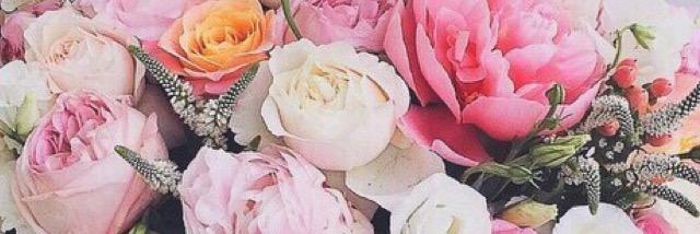 Holly banner